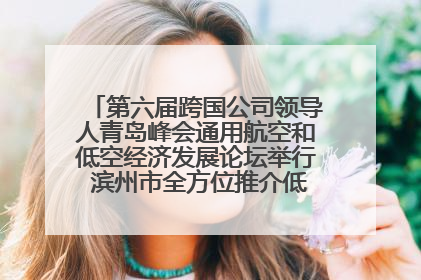 第六届跨国公司领导人青岛峰会通用航空和低空经济发展论坛举行 滨州市全方位推介低空经济发展优势